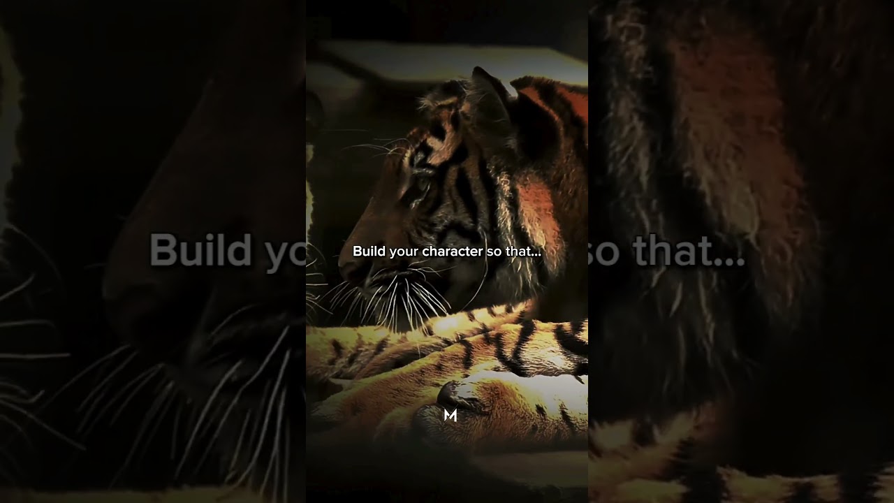 Build your character 🔥 