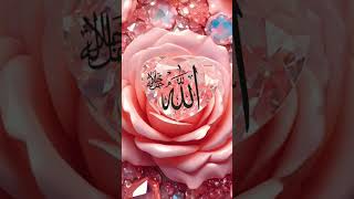 Şfetbeniöneçıkar Ğen