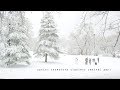 Spring snowstorm blankets Central Park. New York City. 4k G85 ASMR