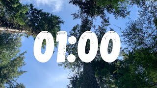 1 Minute Timer ~ Sky & Trees