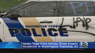 Vandals Target Police Vehicles, Private Property In Washington Township