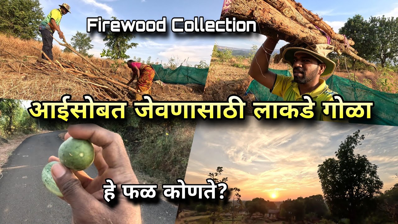 आईसोबत जंगलातून जेवणासाठी लाकडे गोळा करताना | Konkani Village Life | Firewood Collection Vlog🪵👩‍👦