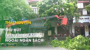 TP Thái Nguyên đảm bảo an toàn cây xanh đô thị mùa mưa bão | Thái Nguyên TV