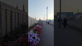 как поливать кашпо #shortsvideo #цветы #кашпо #москва