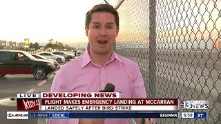 Bird strike forces an American Airline flight to land at McCarran Airport