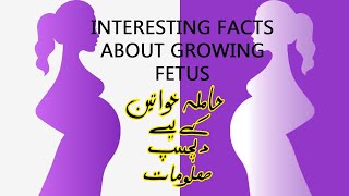 Interesting facts about growing fetus (Urdu/Hindi)