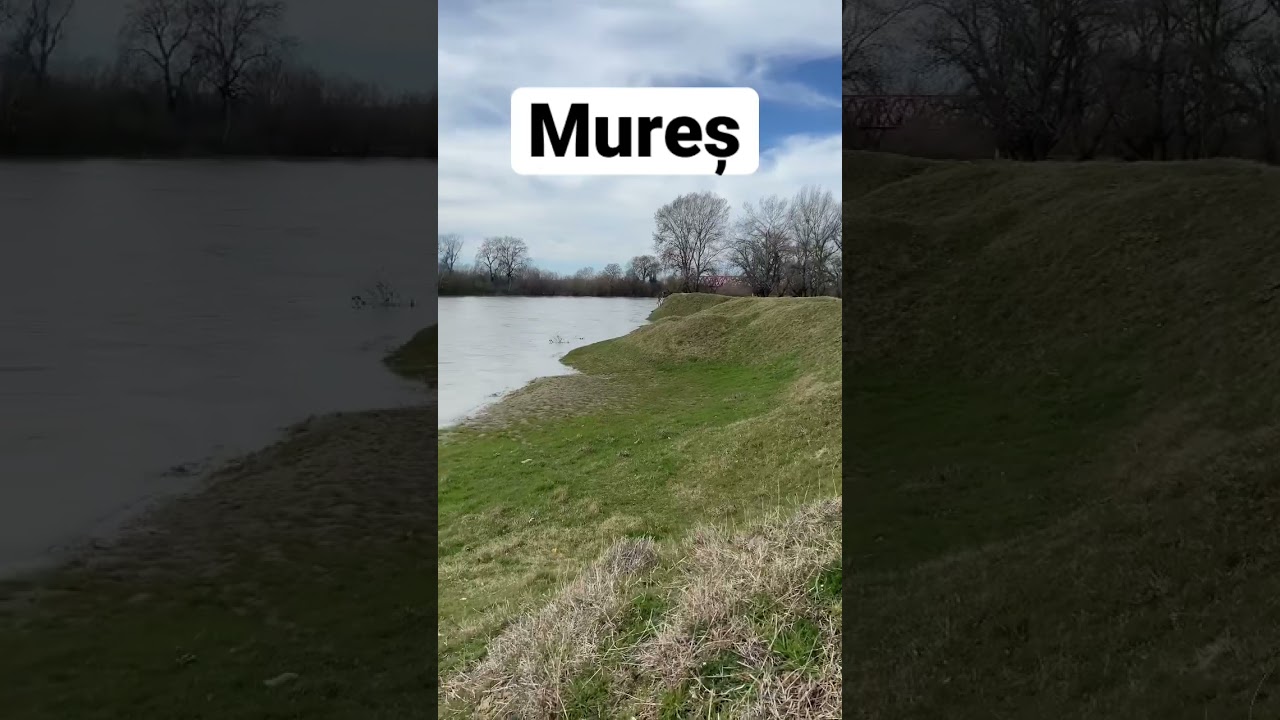 Mureș River Micalaca Arad Romania