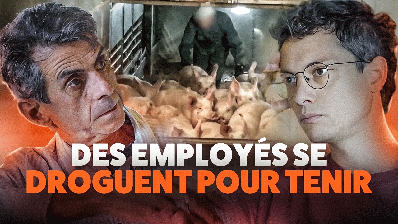 Il a osé dénoncer l’horreur des abattoirs : il témoigne