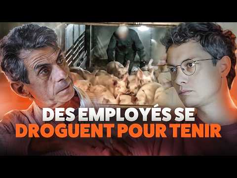Il a osé dénoncer l’horreur des abattoirs : il témoigne