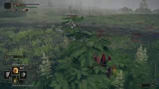 ELDEN RING BLIND PLAYTHROUGH
Join my Discord: https://discord.gg/P9KzgcpsPt ELDEN RING BLIND PLAYTHROUGH