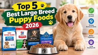 Top 5 Best Large Breed Puppy Foods 2026 | Best Large Breed Puppy Foods
