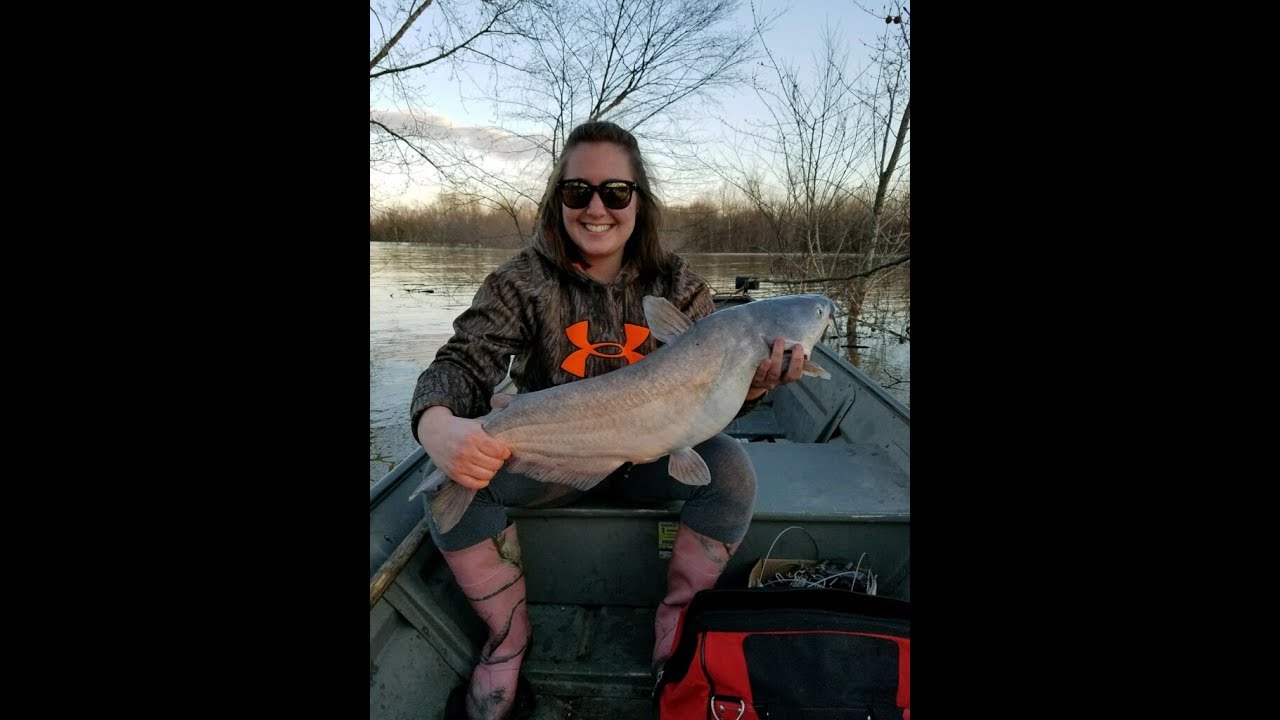 Fishing for Blue Catfish Using Cut Bait 