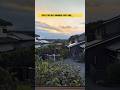 Japanese food#shorts #ytshorts #trending