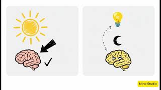 Optimize Your First 120 Minutes: What Neuroscience Says Actually Works