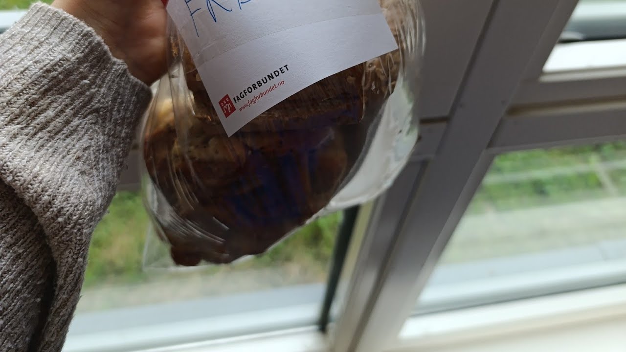 Erasmus in NORVEGIA - Brunost e vita lenta