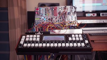 Cheers - Cirklon Acid for Eurorack Synthesizer