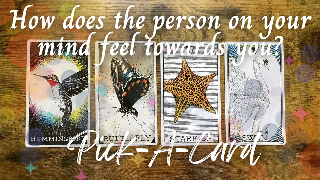 (ASMR-ish?) How does the person on your mind feel about you? 🫧Pick-A-Card🔮Timeless tarot reading