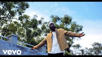 Wan Raydur - Fight (feat. Mr. Linguai) (Official Music Video)