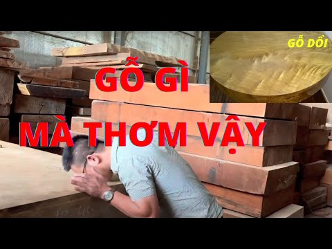 Video Thật Không Ngờ Sập Gỗ Dổi Lại Được Giới Sành Chơi Săn... - youtube