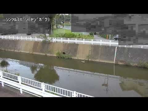 Yaji River Shin-Tsurumi Bridge live cam preview