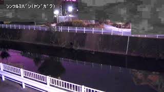 谷地川 新鶴見橋 のライブ映像