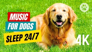 Dog Music to Go to Sleep Live 24/7 ?? Sleep Music for Dog