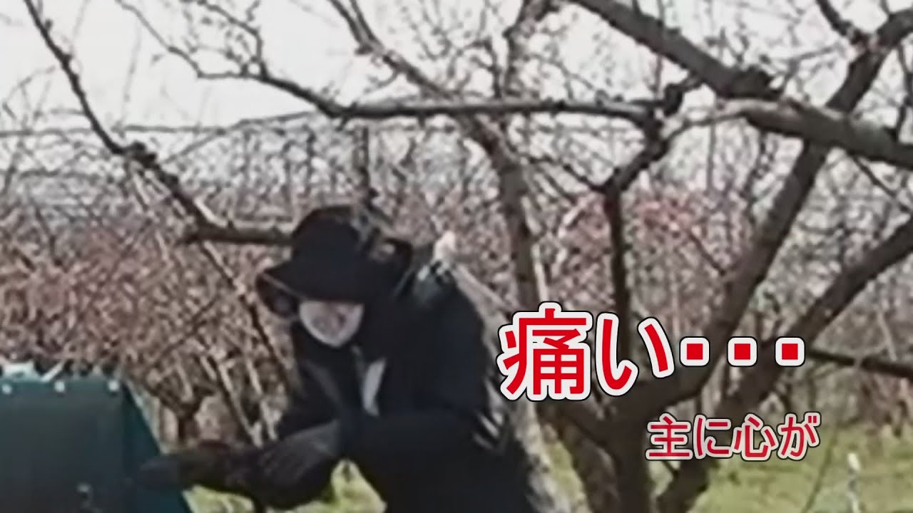 【果樹】枝拾い＆枝砕き編