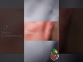 Tiktok video, how I felted a Merlion