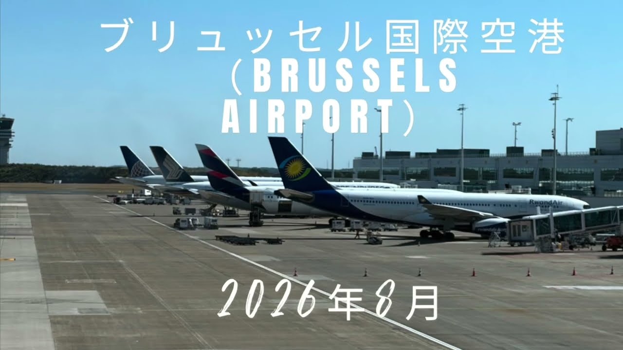 ブリュッセル空港に駐機している航空機の様子です。