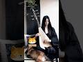 Classical Asian Instrument Meets Metal 🤯🔥 | Shadow Assasin #musicshorts