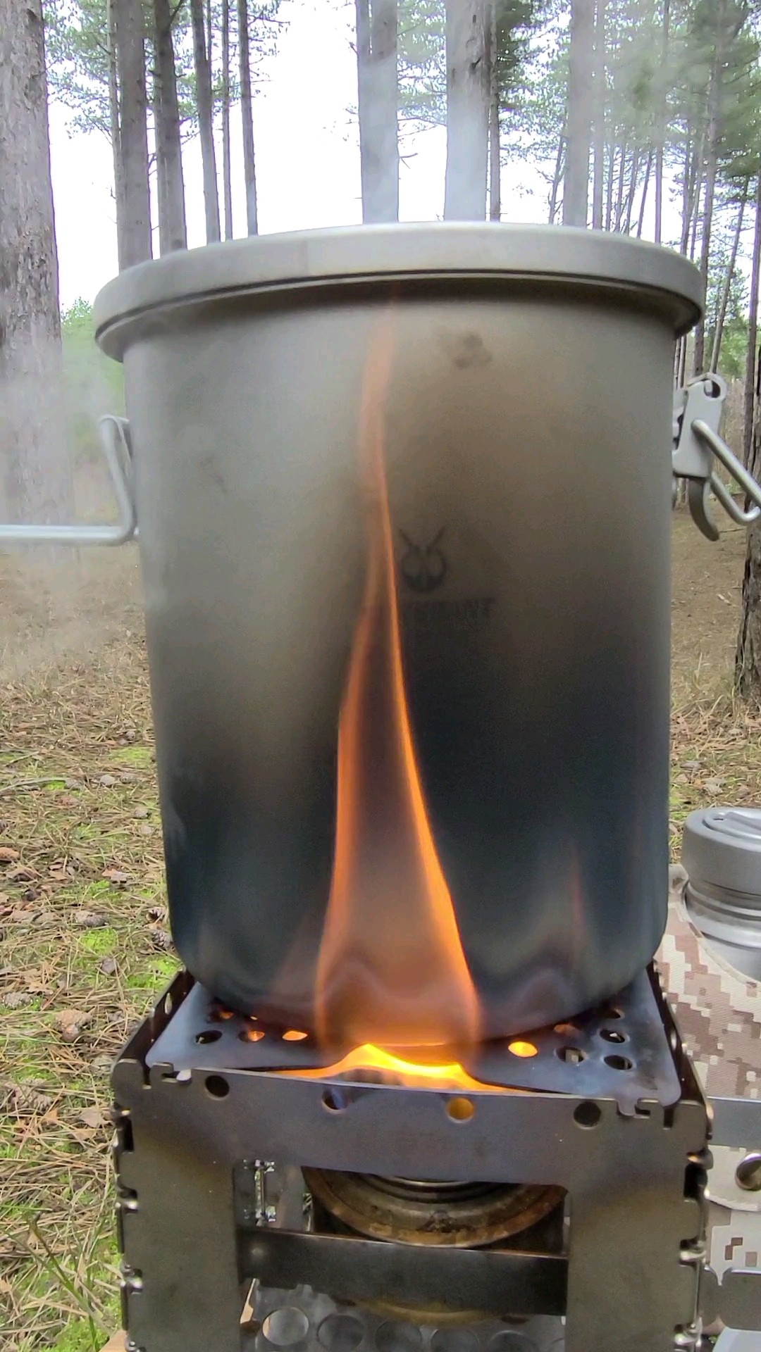 Titanium Rice Cooker, Winter Pine Forest cooking #shorts #cooking
