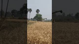 kaam kya karte ho #explore #viral #bcece #bcece #fashion#entertainment #viralposts #viralmoment #fly