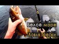 Ловля трески в Белом Море | 1-ая поездка | IRL