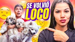 Obligo A Mi Novio A Cuidar A Mis 3 Perritos Bebés Por 24 Horas