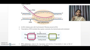 Molecular basis of inheritance Video lecture 6