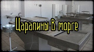 Царапины в морге (Страшная История) Царапины в морге (Страшная История)