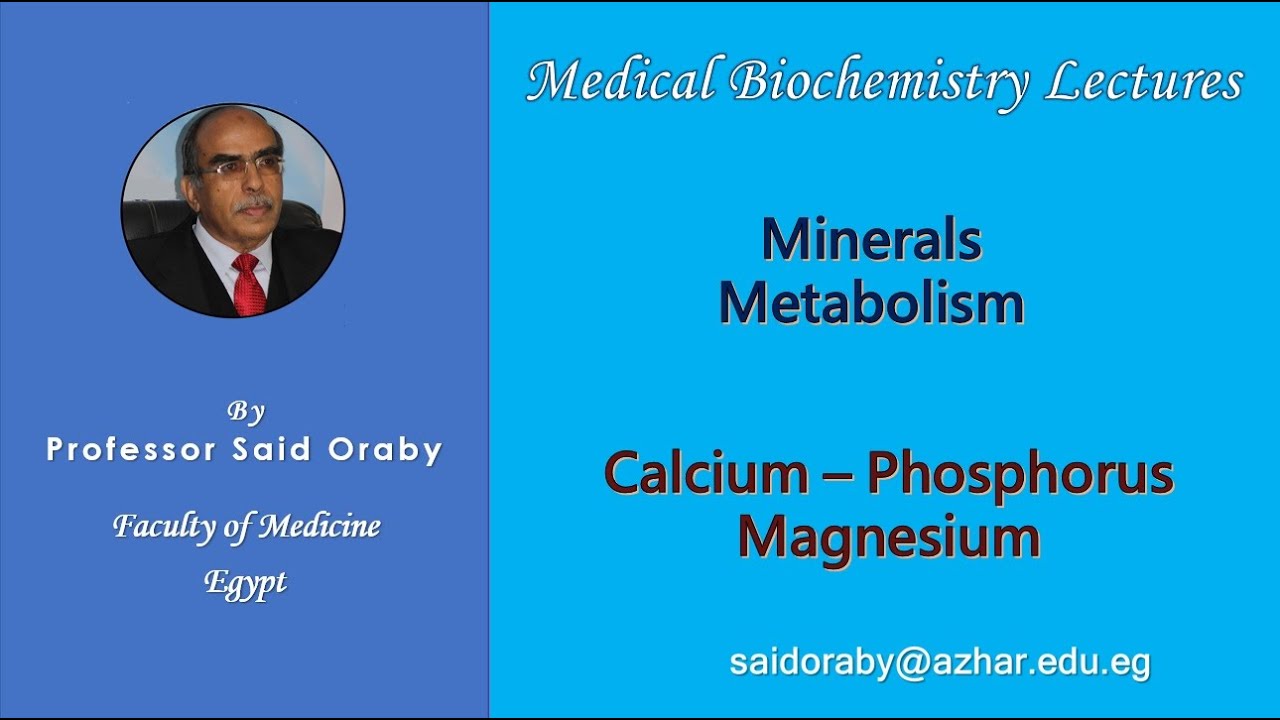 Minerals Calcium, phosphorus & magnesium by Said Oraby YouTube