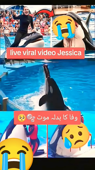 Jessica live viral video π #jessica#jessicathivenin #viralshort #incidentupdate#dolphin #Fypviral