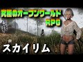 今こそやるべき!2023年究極のオープンワールドRPG スカイリム紹介!【オープンワールドゲーム】