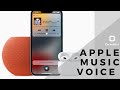 Apple Voice Plan | Apple Music for Cheap Mp3 Song