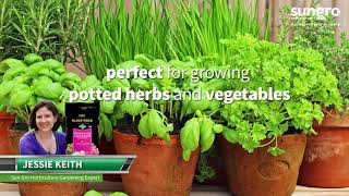 Black Gold® Cocoblend Potting Mix - OMRI Listed® for Organic Gardening