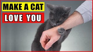10 Scientifically Proven Ways to Make Your Cat LOVE You 🐾 (Backed by Science!)