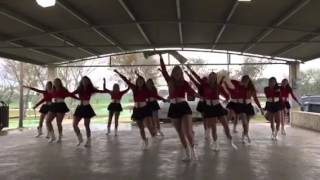 2015-2016 KCHS Highsteppers perform at Christmas in the Par