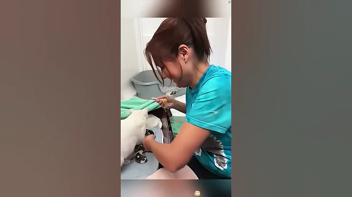 #90 Funny Cat videos#meowing#memes #cute