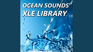 Thrilling Ocean Sounds