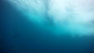 TunaTrollPro.mov