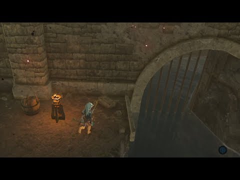 【ブレワイ(BotW)】気になったので、ハイラル城船着き場の鉄格子の先に入ってみた【ドリカラ】