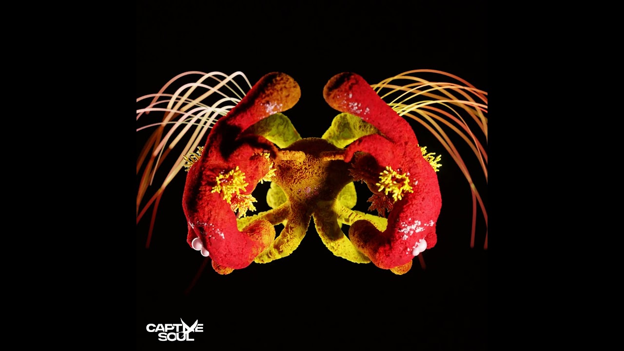 Don`t Call Me (Extended Mix) David Lindmer