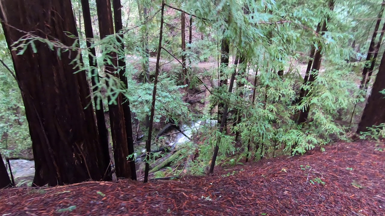 big basin mountain biking