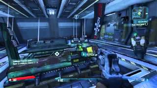 Borderlands 2 Flags PhysX Example 1